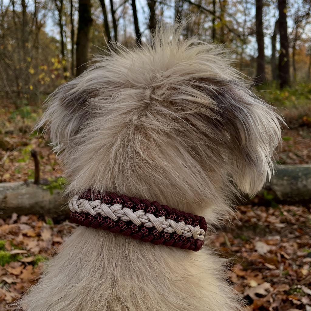 Halsband voor hond, Dieren en Toebehoren, Hondenhalsbanden en Penningen, Ophalen of Verzenden, Nieuw