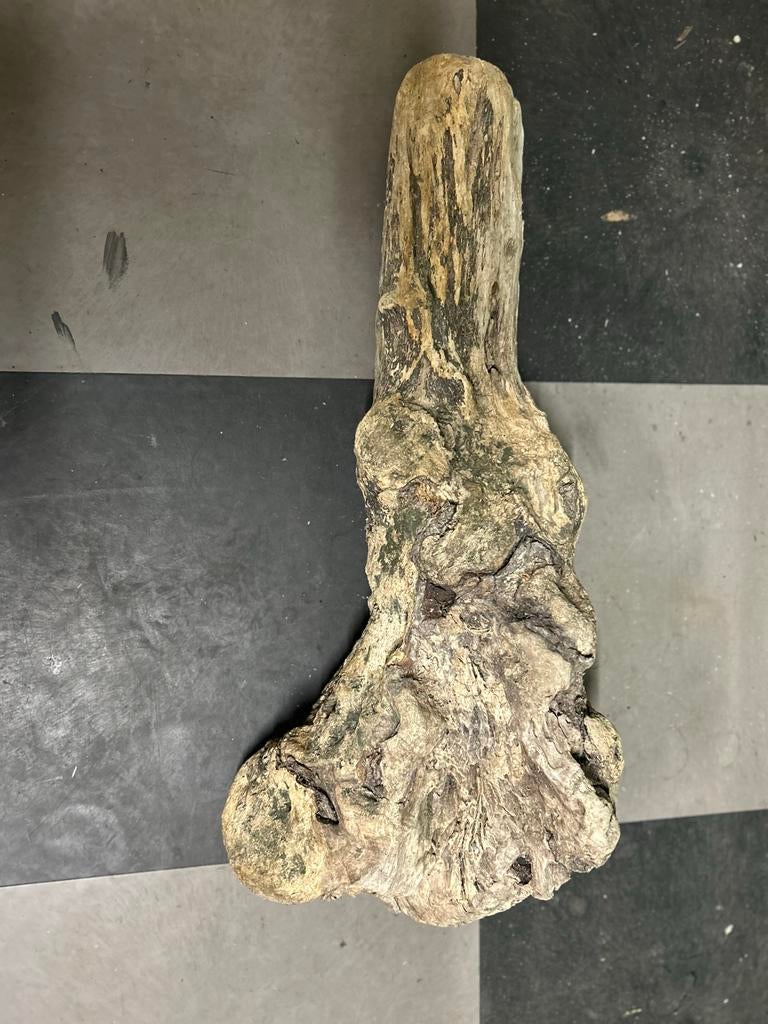 Drijfhout puur natuur, echte kunst, Ophalen of Verzenden