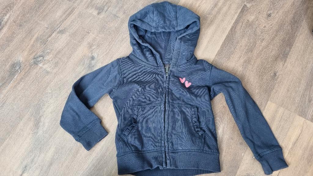 vest 92, Ophalen of Verzenden, Zo goed als nieuw, Meisje, Trui of Vest