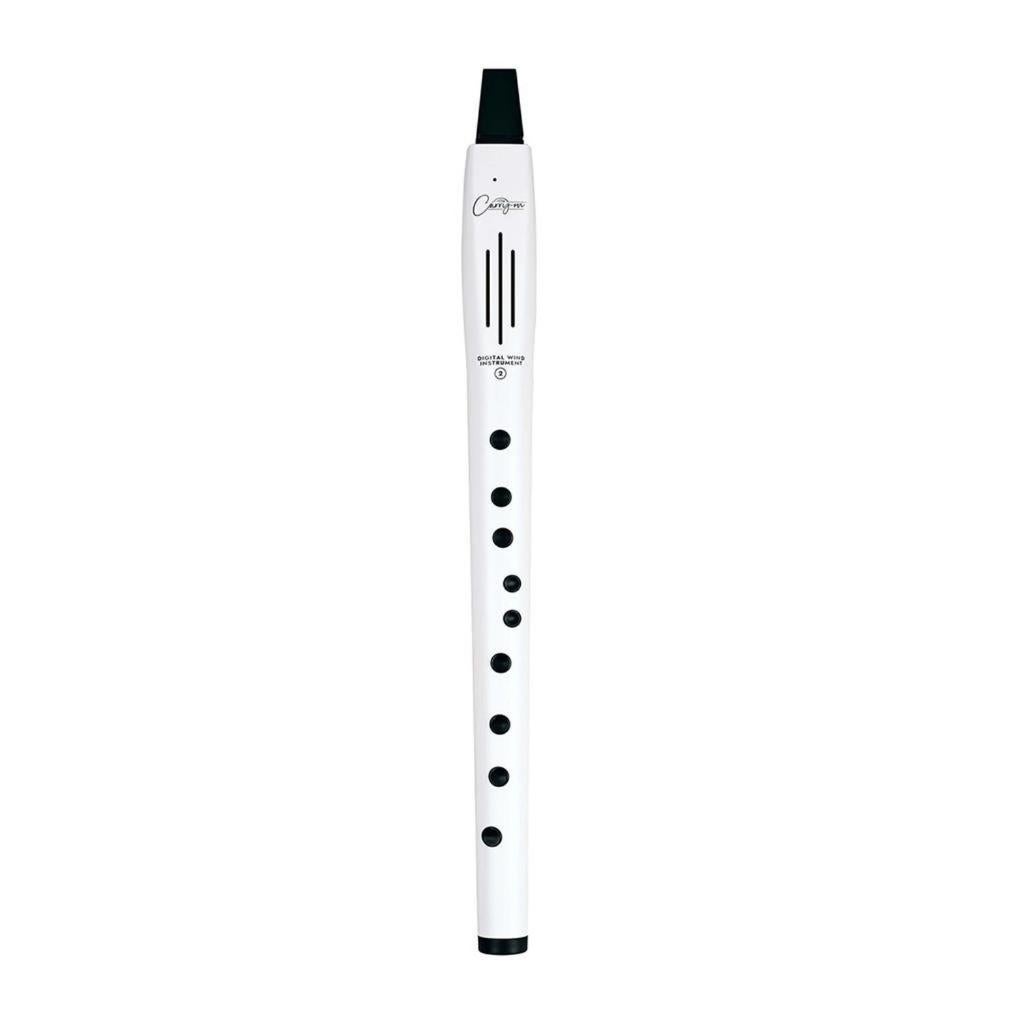 Carry-On Digital Wind Instrument 2 White digitaal, Muziek en Instrumenten, Instrumenten | Toebehoren, Nieuw, Overige instrumenten