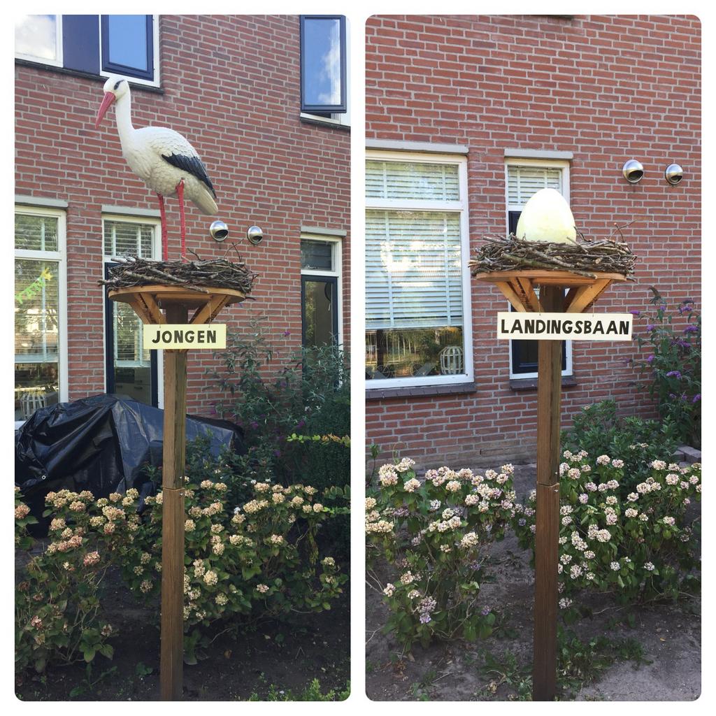 Geboortebord ooievaar, ei, landingsbaan te huur, Ophalen