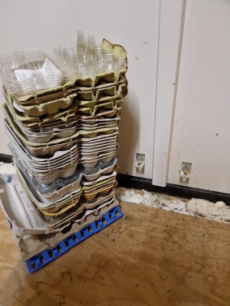 Eierdozen gebruikt, Dieren en Toebehoren, Pluimvee | Toebehoren, Ophalen