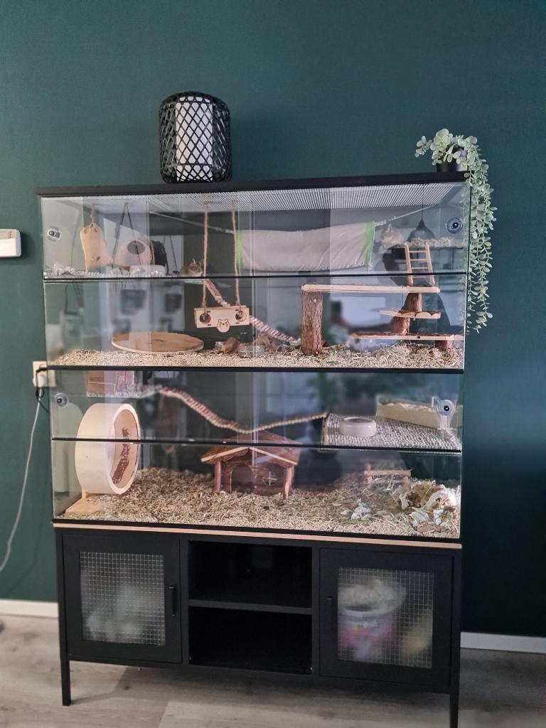 Glazen chinchilla villa 120x50x120, Kooi, 110 cm of meer, Nieuw, Ophalen of Verzenden