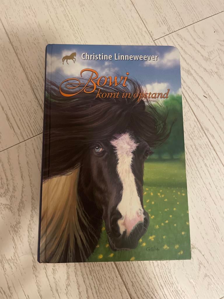Bowi komt in opstand - Christine Linneweever, Boeken, Kinderboeken | Jeugd | onder 10 jaar, Zo goed als nieuw, Fictie algemeen