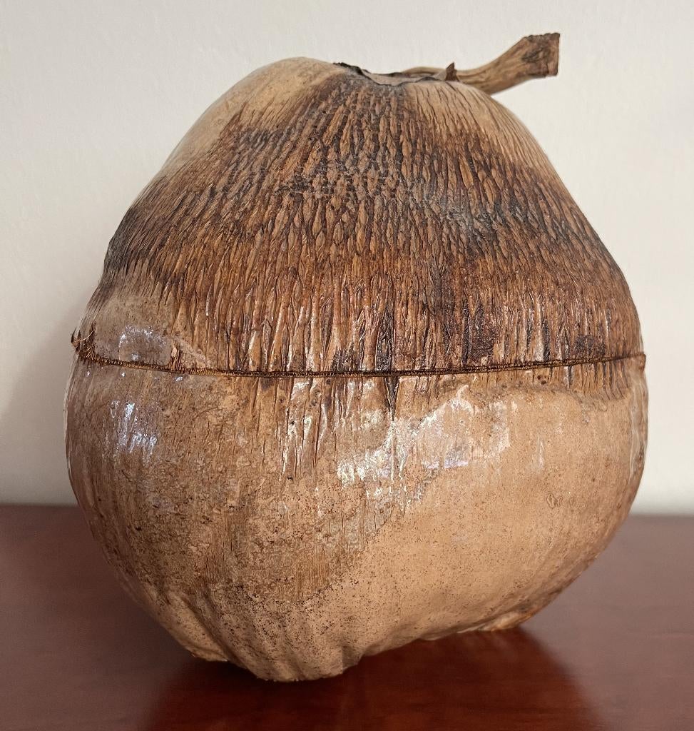 Kokos noot, Overige stijlen, Ophalen of Verzenden, Zo goed als nieuw, Natuurlijk materiaal