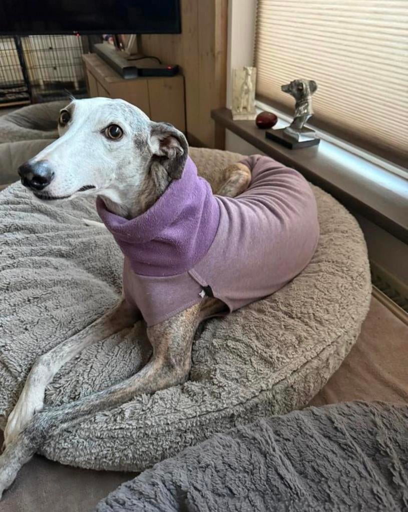 Jumper hondentrui trui hond okergeel of zandkleur fleece, Dieren en Toebehoren, Hondenkleding, Nieuw, Hondentrui, Ophalen