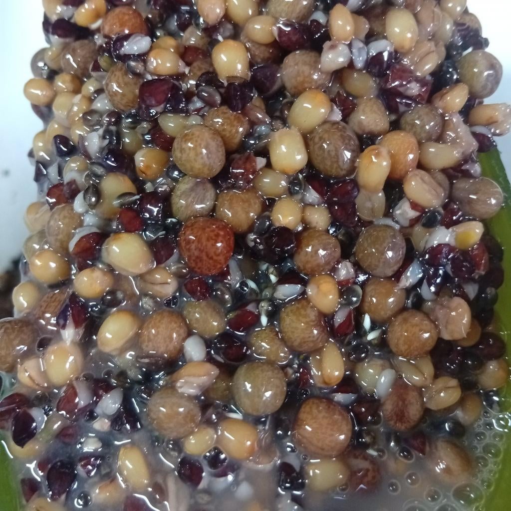 Spomb voer, Ophalen of Verzenden, Nieuw, Overige typen