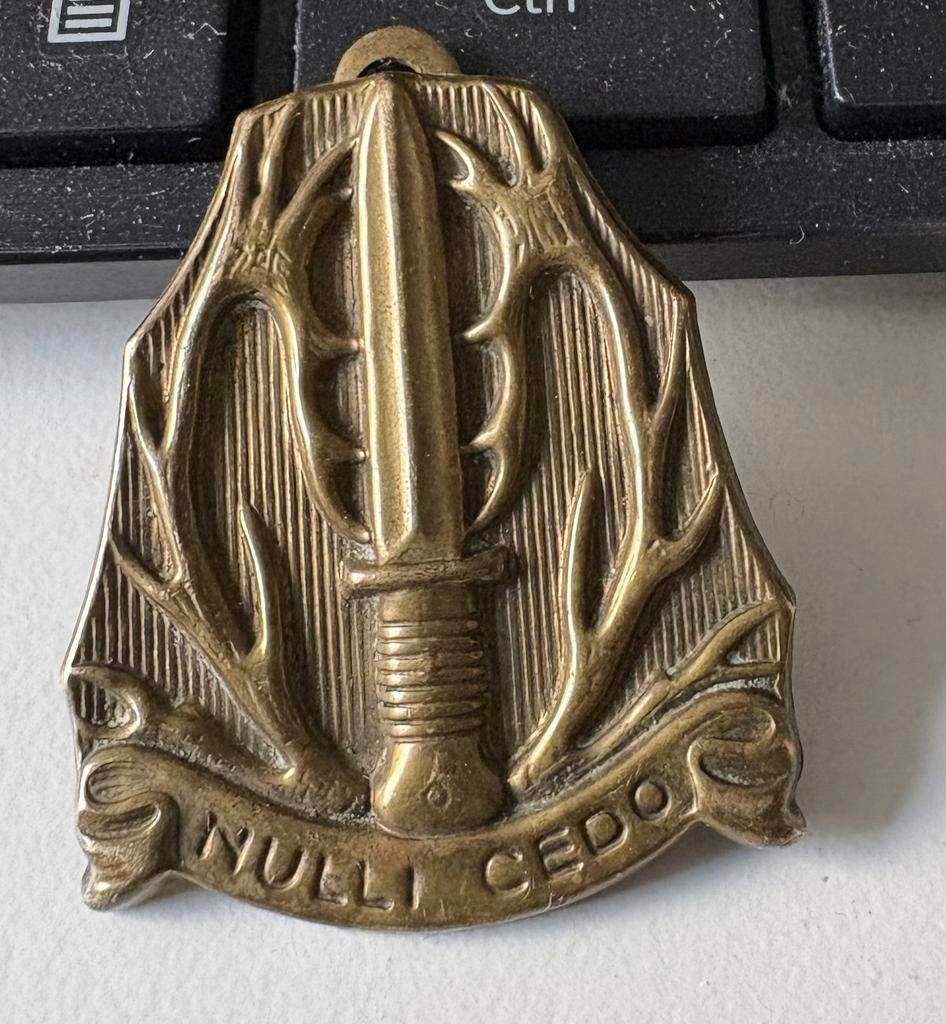 speld limburgers jagers stoottroepen vroeg, Verzamelen, Ophalen of Verzenden, Landmacht, Nederland, Embleem of Badge