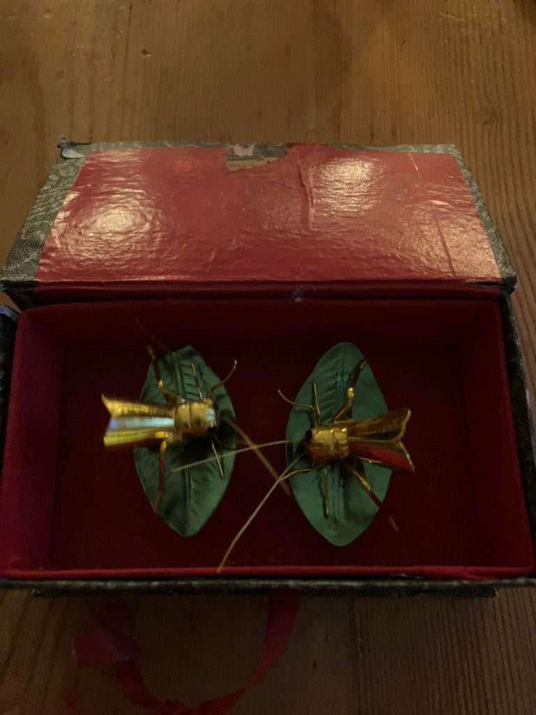 Japanse krekels in doosje zonder geluid, Ophalen of Verzenden