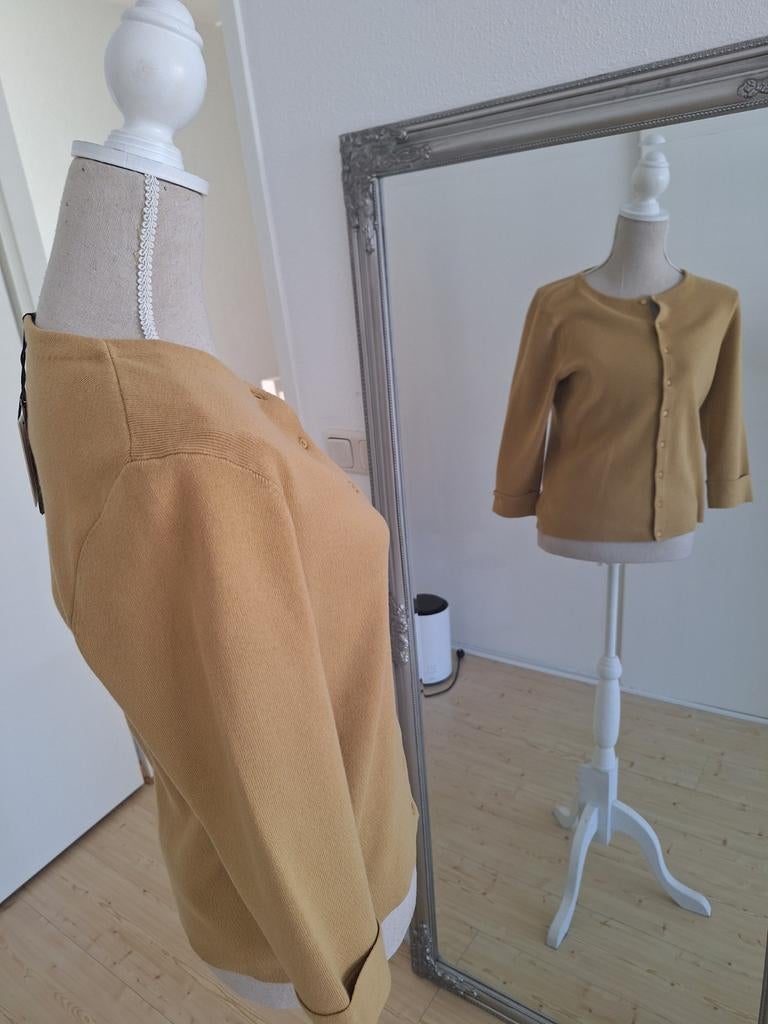 Purdey, Kleding | Dames, Purdey, Ophalen of Verzenden, Nieuw, Maat 38/40 (M)