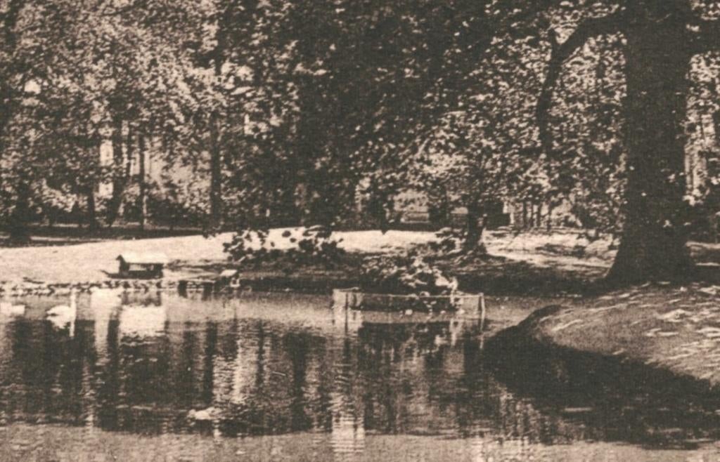 991353 Assen Drenthe 1929 Gelopen met postzegel, Ophalen of Verzenden, 1920 tot 1940, Gelopen, Drenthe