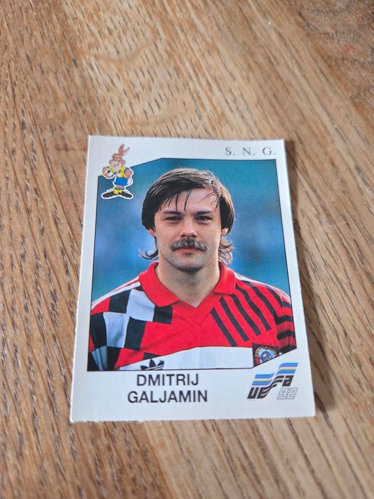 Panini EK 92, Hobby en Vrije tijd, Stickers en Plaatjes, Ophalen of Verzenden, Zo goed als nieuw, Plaatje