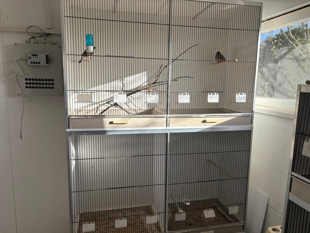 Gehu vluchtkooi, Dieren en Toebehoren, Vogels | Hokken en Kooien, Ophalen, Zo goed als nieuw, Hout, Vogelkooi