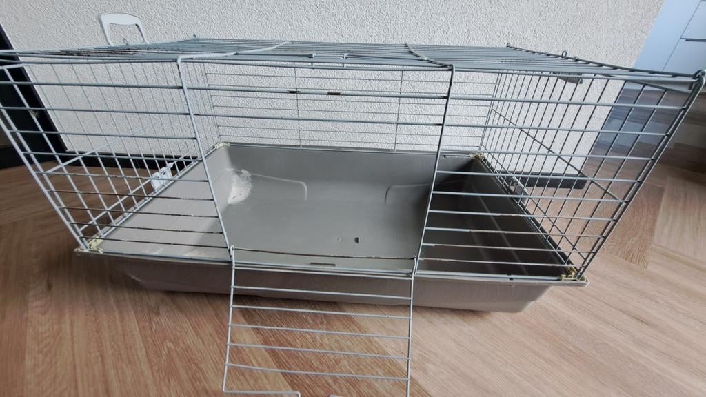 Konijnenkooi, Dieren en Toebehoren, Konijnen, Mannelijk, Groot