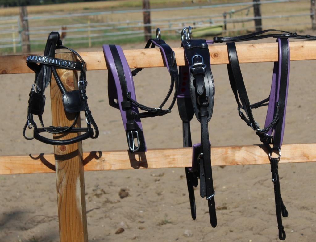 Te koop pony mentuig paars onderlegd nieuw, Dieren en Toebehoren, Paarden en Pony's | Hoofdstellen en Tuigage, ., Ophalen of Verzenden