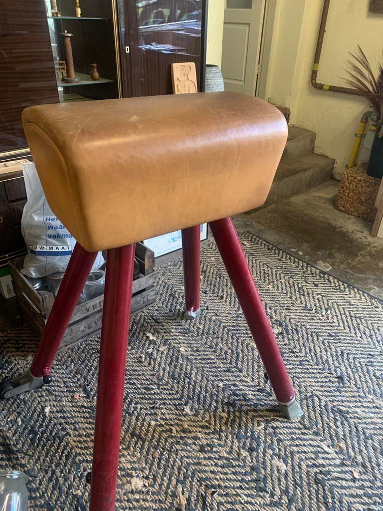 Turnbok, Maat 36 t/m 42, Ophalen of Verzenden, Zo goed als nieuw, Materiaal