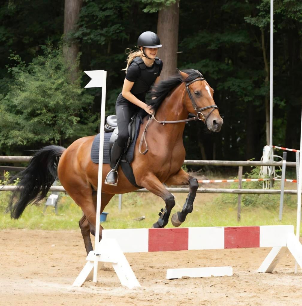 Verzorgster aangeboden, Ophalen of Verzenden