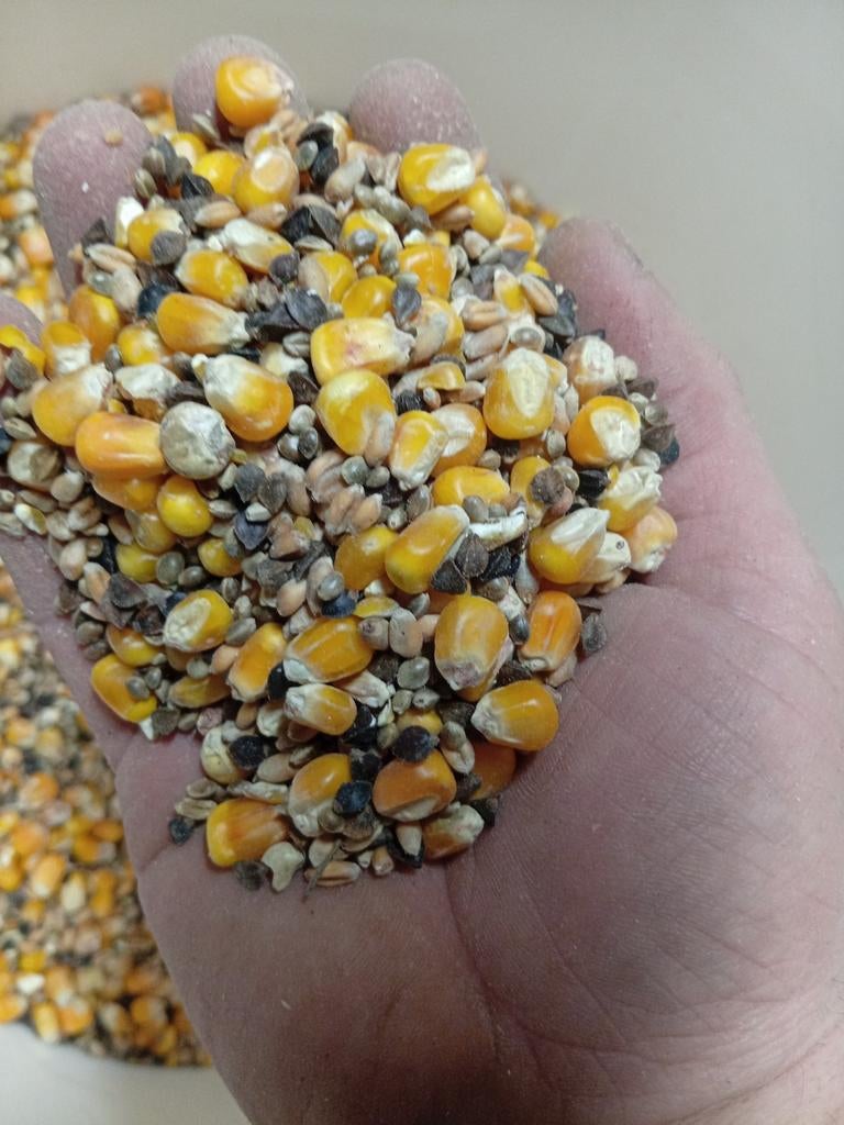 Karpervoer mix, Ophalen of Verzenden, Nieuw, Overige typen