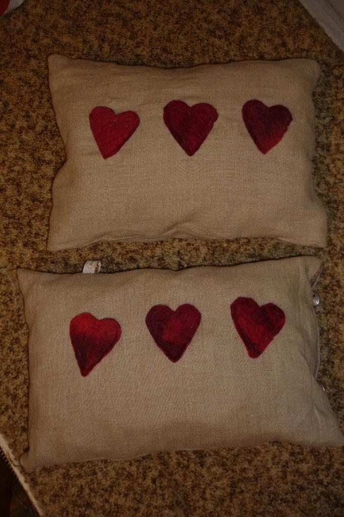 2  kleine  kussentjes, Ophalen of Verzenden, Zo goed als nieuw, Rechthoekig