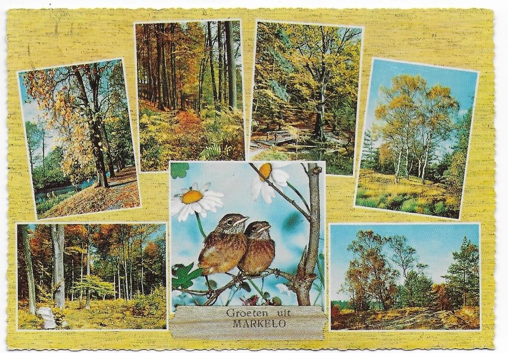 Markelo gelopen Ansichtkaart (B2365 ), Ophalen of Verzenden, 1980 tot heden, Gelopen