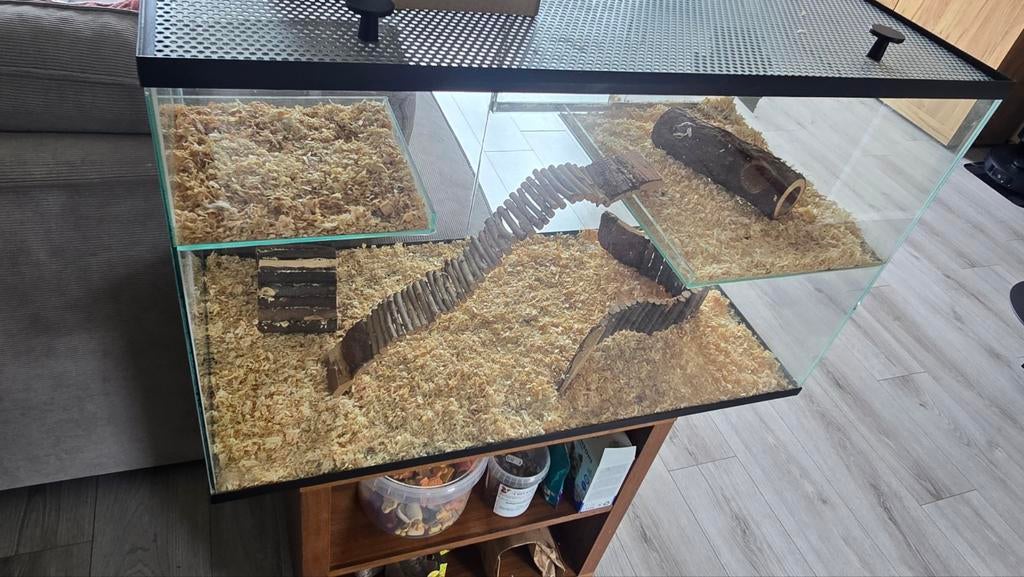 Groot hamsterhok / terrarium, Minder dan 75 cm, Muis, Hok, Ophalen