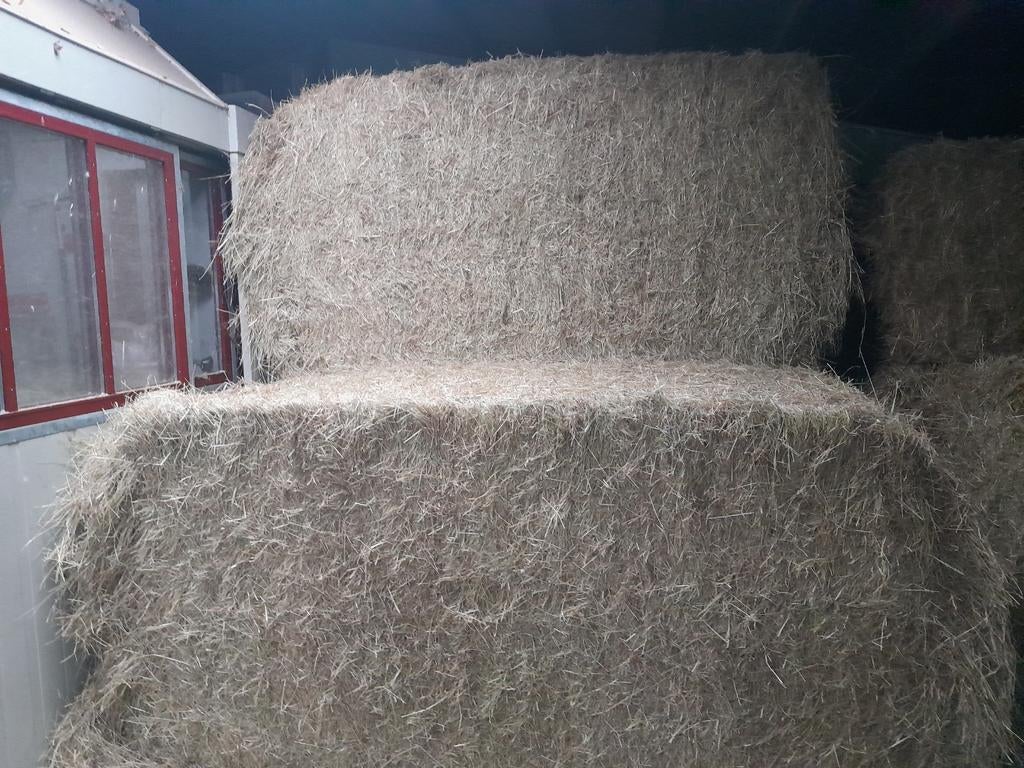 Te koop hooi, Ophalen, Vee