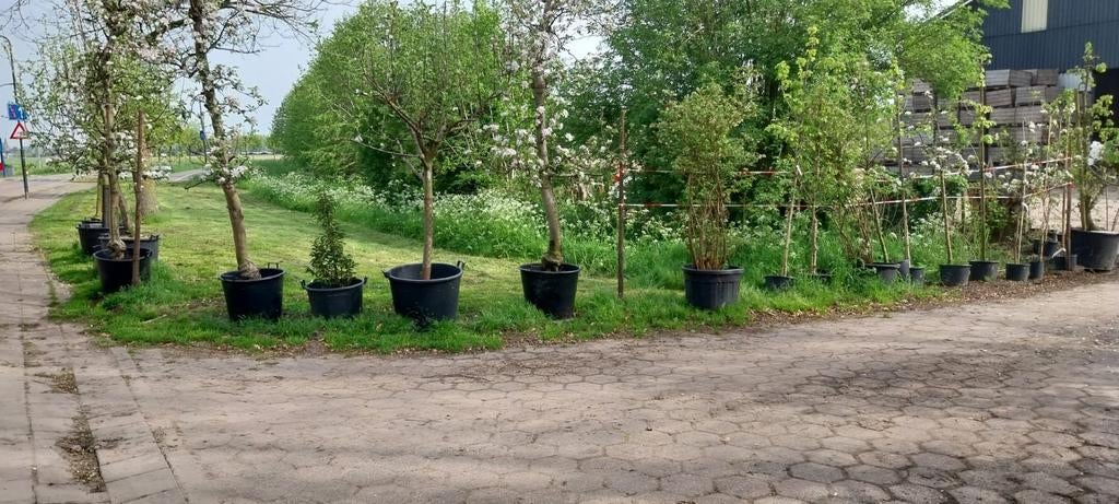 Oude Fruitbomen, Ophalen