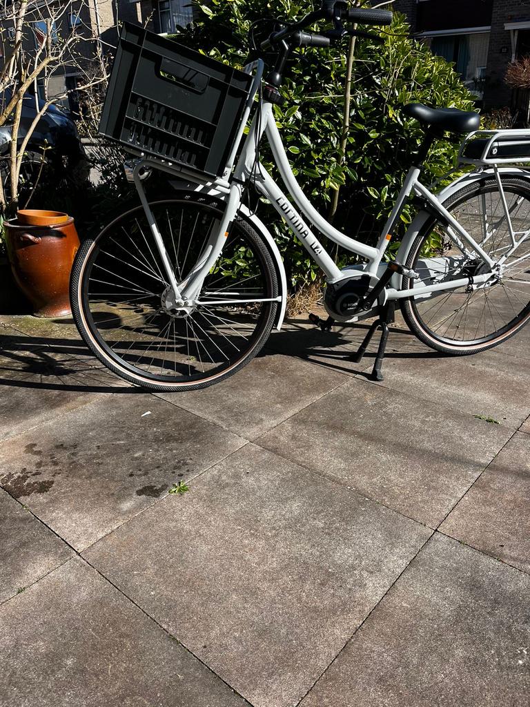 Elektrische fiets Cortina E-U4 Transport Smooth grey matt, 47 tot 51 cm, Ophalen, Zo goed als nieuw, Cortina