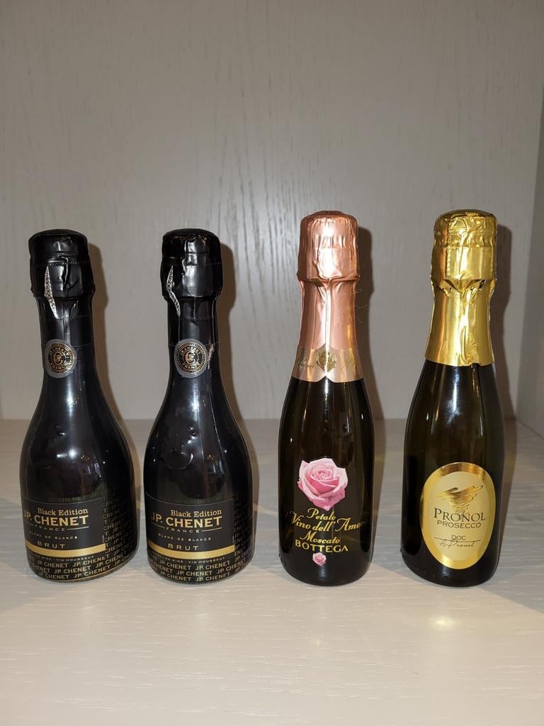 Miniatuur Wijn Collectie champagne/bruut, Verzamelen, Wijnen, Frankrijk, Ophalen of Verzenden, Vol, Champagne