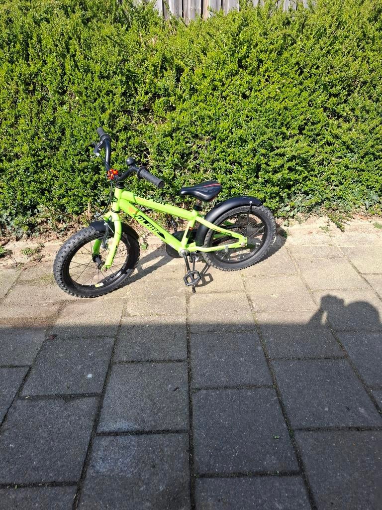 Volare kinderfiets 4-6 jaar - Groen, Fietsen en Brommers, Fietsen | Kinderfietsjes, Ophalen, Gebruikt, 16 tot 20 inch, Volare