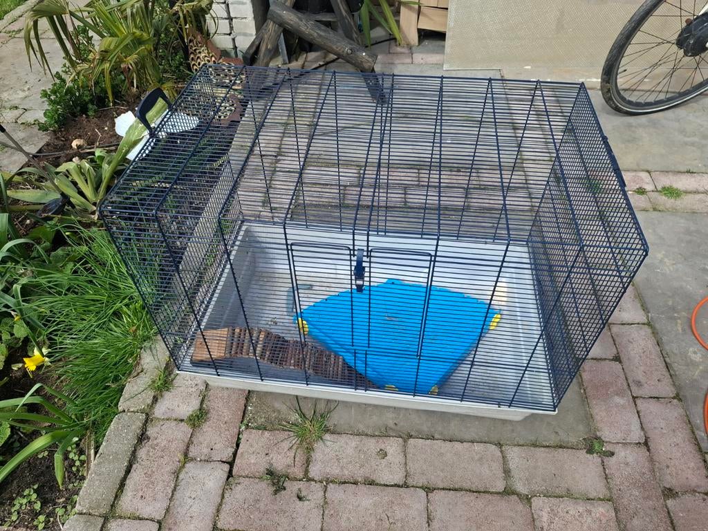 Kooi voor knaagdieren, Ophalen, Minder dan 65 cm