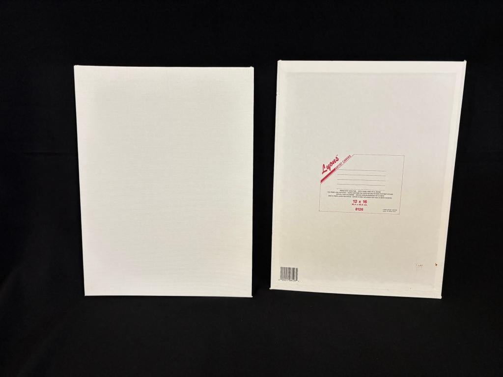 Prof. kwal. Canvas boards 30,4 x 40,6 cm en Penseelreiniger, Hobby en Vrije tijd, Schilderen, Ophalen, Nieuw, Overige typen