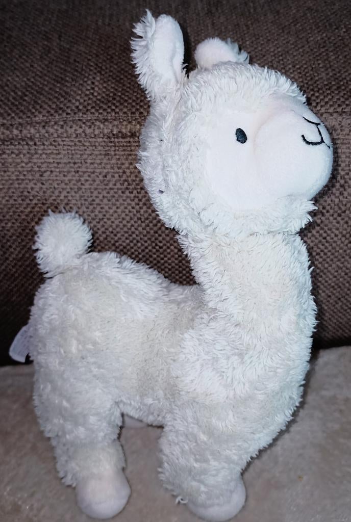 Prenatal lama., Ophalen of Verzenden, Gebruikt, Overige typen