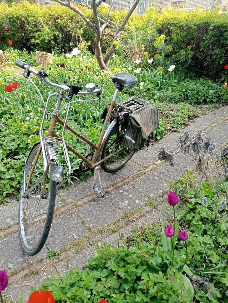 Vintage Gazelle Champion Mondial dames sportfiets, Ophalen of Verzenden, Gazelle, Minder dan 10 versnellingen, 28 inch