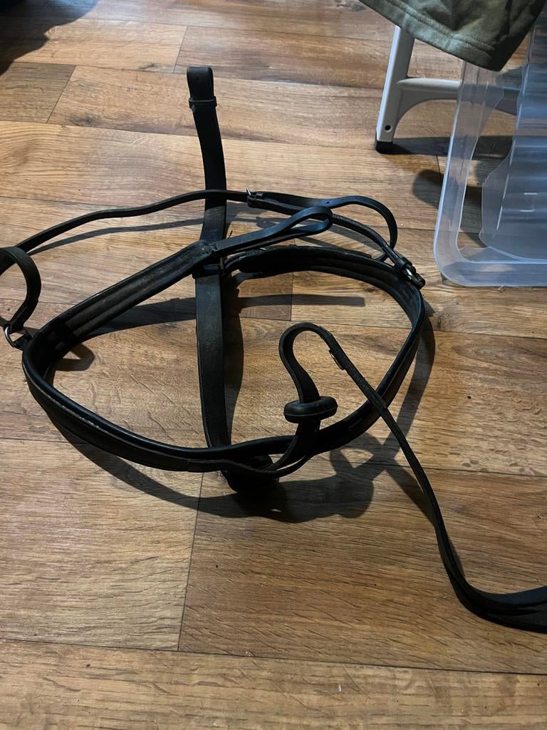 Borsttuig incl martingaal, Dieren en Toebehoren, Paarden en Pony's | Hoofdstellen en Tuigage, Ophalen of Verzenden
