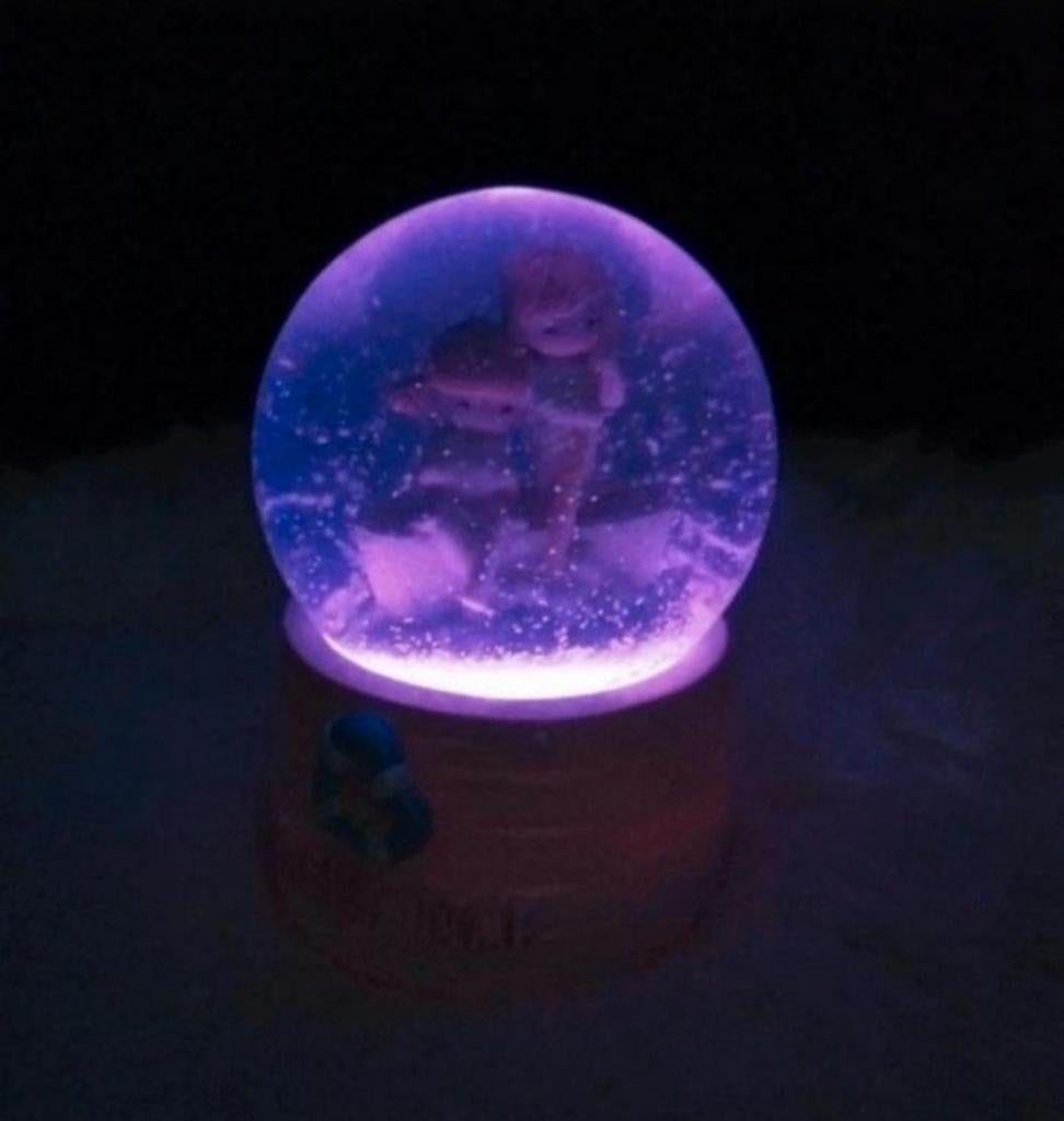 Sneeuwbol, Ophalen of Verzenden, Nieuw