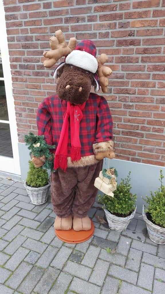 rudolf kerst pop, Diversen, Ophalen