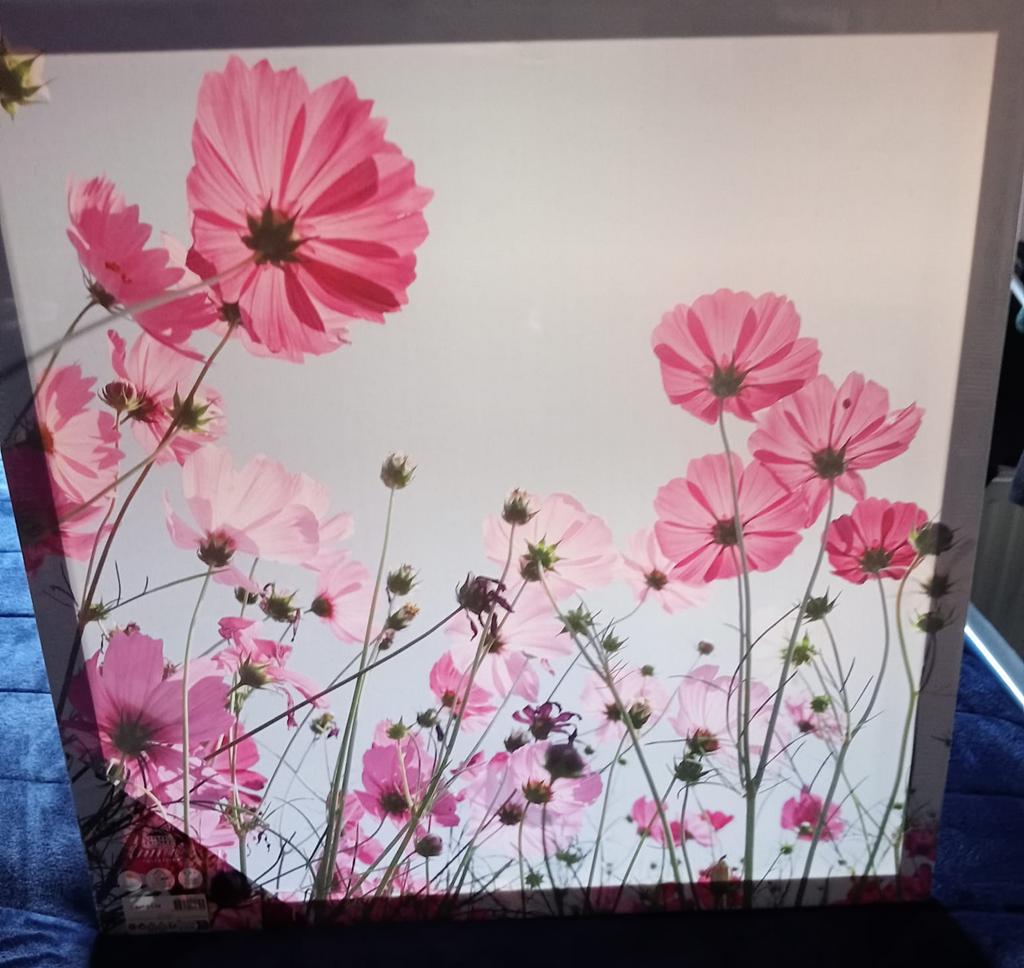 Nieuwe tuin poster, Ophalen