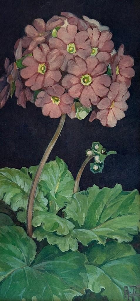 Alberta Johanna Smetz (1893-1953), Antiek en Kunst, Kunst | Schilderijen | Klassiek, Ophalen of Verzenden