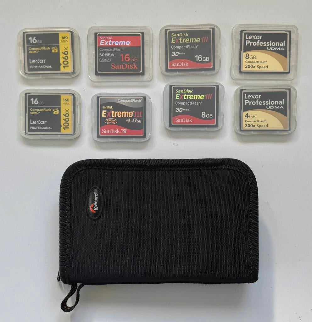 Flash kaarten plus Lowepro etui, Audio, Tv en Foto, Fotografie | Geheugenkaarten, Ophalen of Verzenden, Gebruikt, Fotocamera