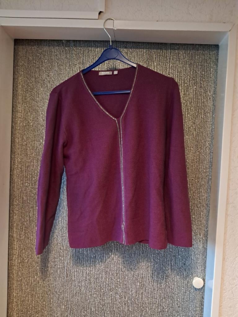 Mooie paarse dames trui maat 38, Ophalen of Verzenden, Gedragen, Maat 38/40 (M), Paars