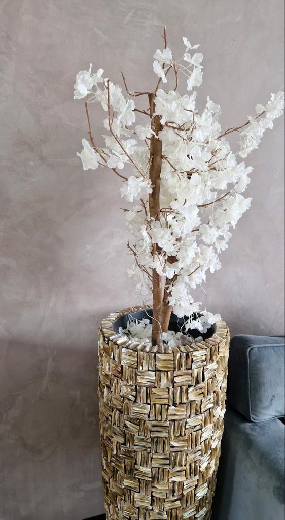 Mooie schelpenvaas XXL met bloesemplant, Ophalen, Wit, Minder dan 50 cm