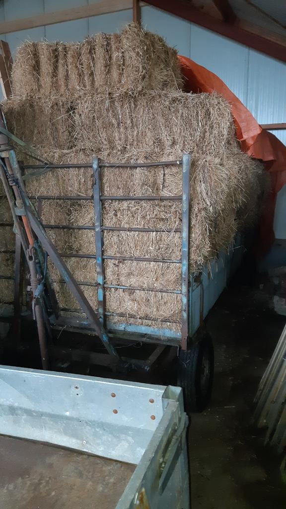 Hooi 80 pakjes, Tuin en Terras, Haardhout, Minder dan 3 m³, Ophalen of Verzenden