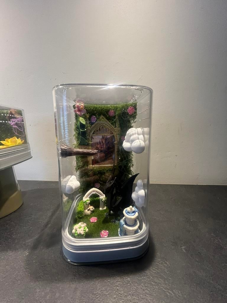 Sleeping Beauty Springspin terrarium, Dieren en Toebehoren, Insecten en Spinnen, Spin of Schorpioen