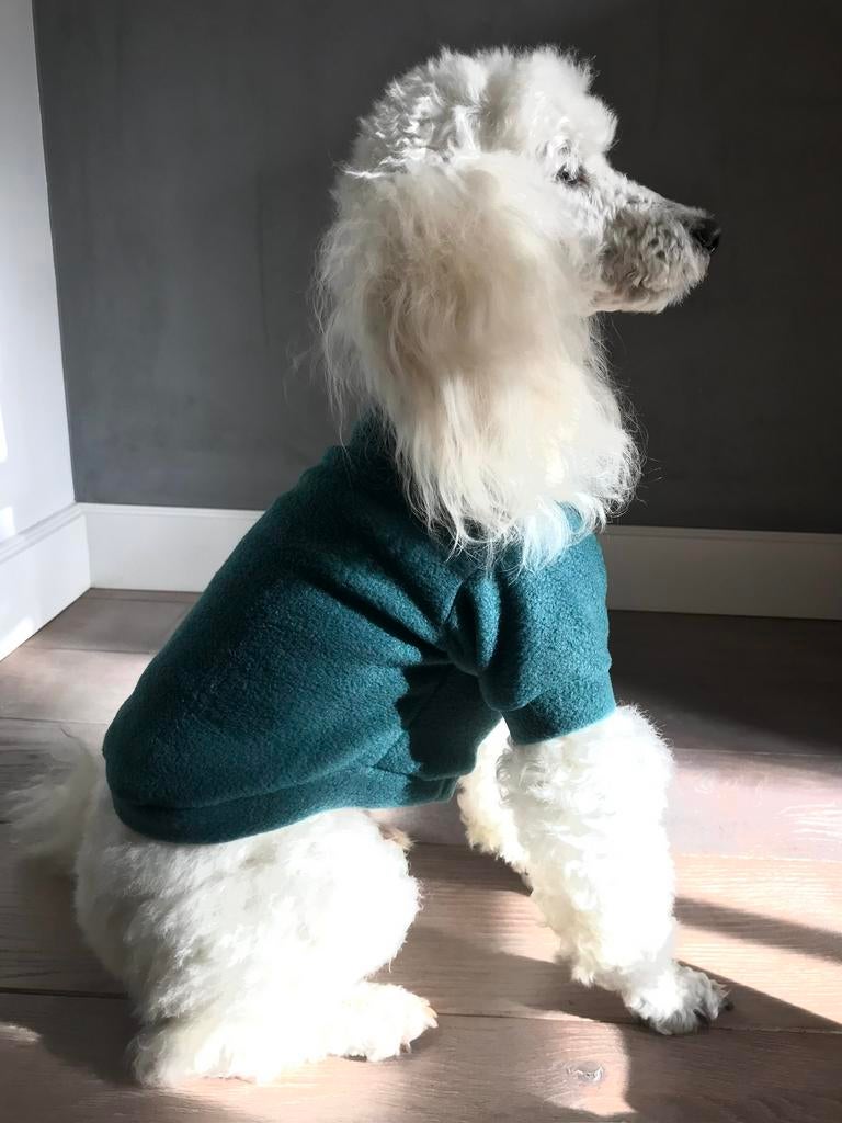 Handmade Op maat gemaakt Hondentrui Chihuahua Pom Pup Boomer, Ophalen of Verzenden, Nieuw, Hondentrui