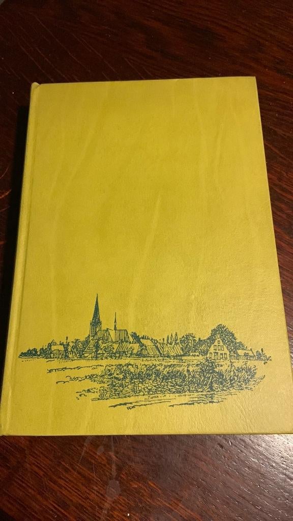 Dorp aan de rivier - Antoon Coolen, Boeken, Ophalen of Verzenden
