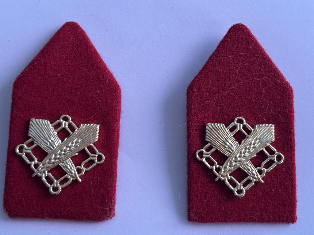 Set kraag emblemen Bevoorradings- en Transporttroepen, Verzenden, Landmacht, Nederland, Kleding of Schoenen