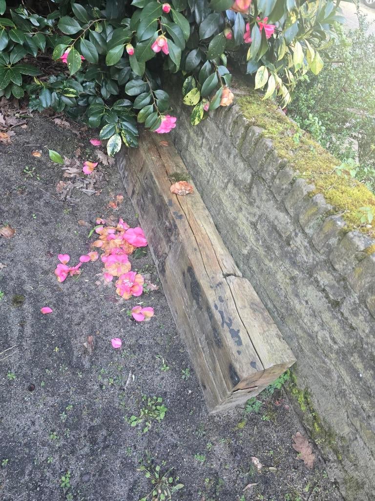 Gratis spoorbiels, Ophalen of Verzenden, Hout