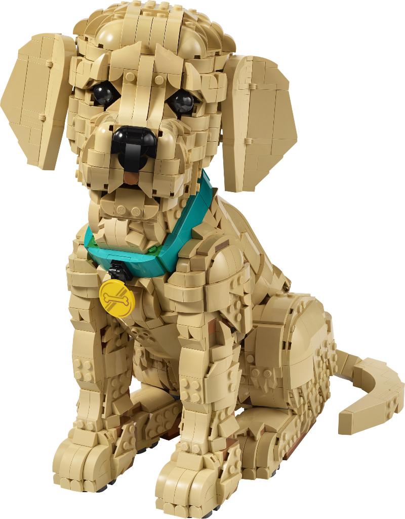 LEGO 11384 LEGO Icons Golden Retriever Puppy 2102 delig, Lego, Nieuw, Ophalen of Verzenden, Icons