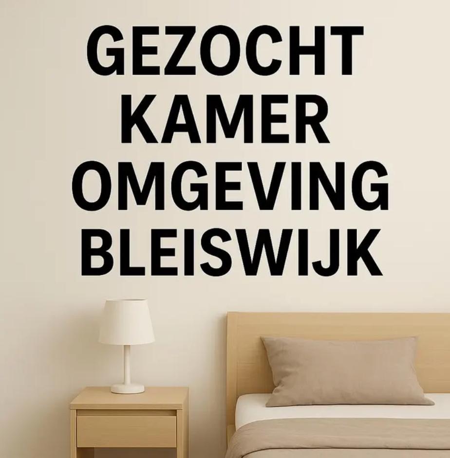 Kamer / studio gezocht / omgeving Bleiswijk